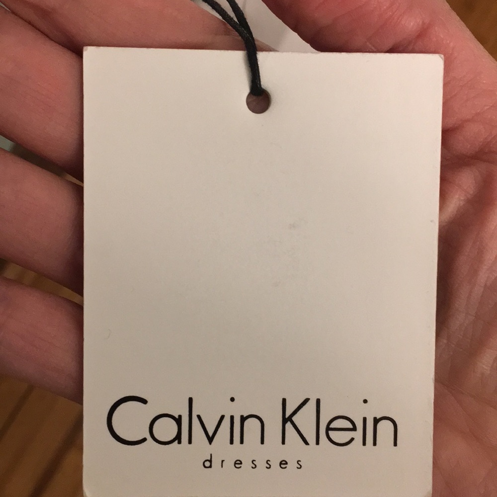 💐 NWT Gorgeous Calvin Klein Dress, size 2 💐 - Picture 5 of 6